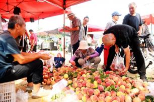 山东青岛：灵山卫大集烟火气十足