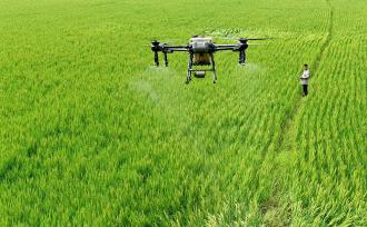 湖南邵阳：农技员施肥助力水稻丰产