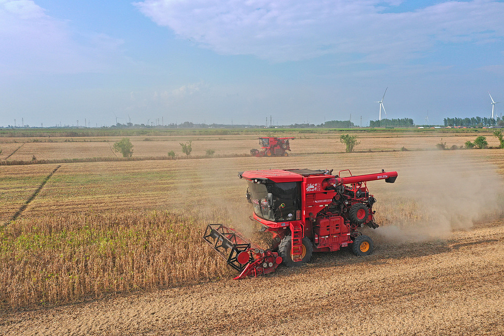 安徽宿松：农机手驾驶收割机抢收大豆