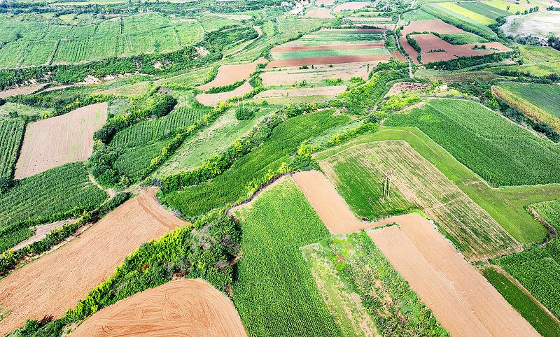 山西襄汾：山乡田野碧绿盎然