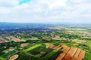 山西襄汾：山乡田野碧绿盎然