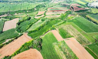 山西襄汾：山乡田野碧绿盎然