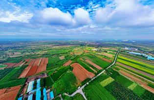 山西襄汾：山乡田野碧绿盎然