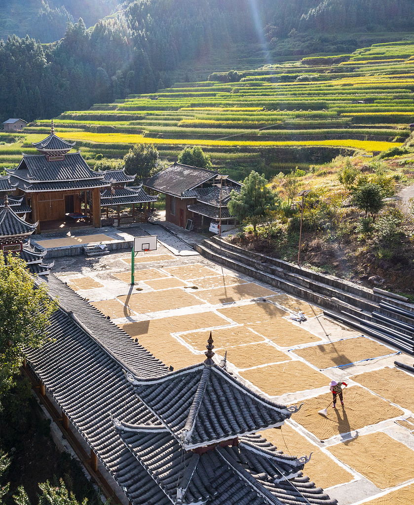 贵州从江：农民趁着晴好天气晾晒稻谷