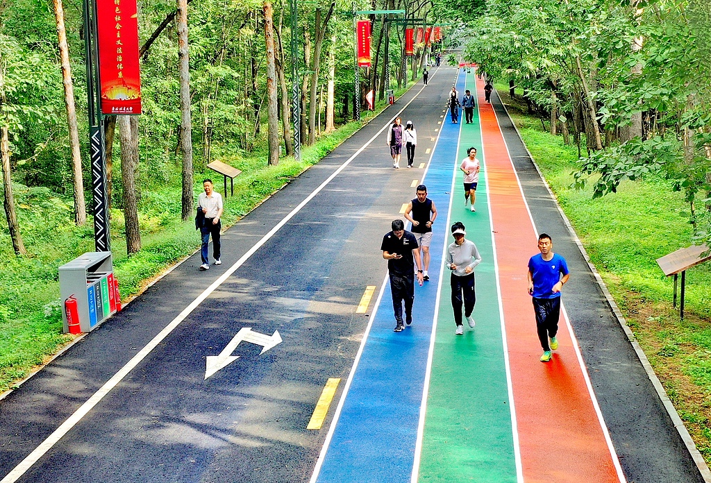 黑龙江哈尔滨：市民体验森林生态跑道