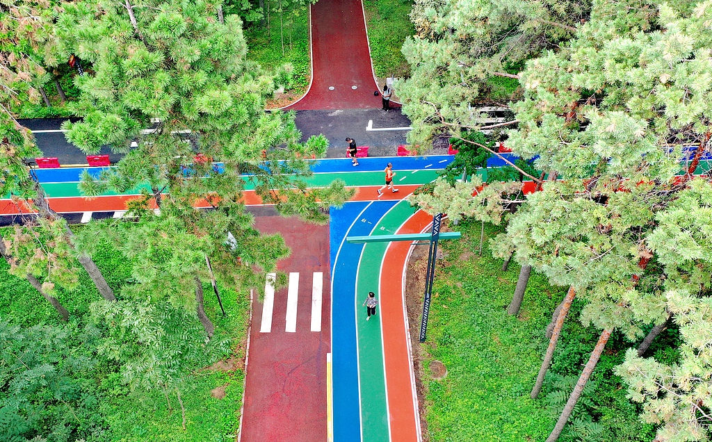 黑龙江哈尔滨：市民体验森林生态跑道