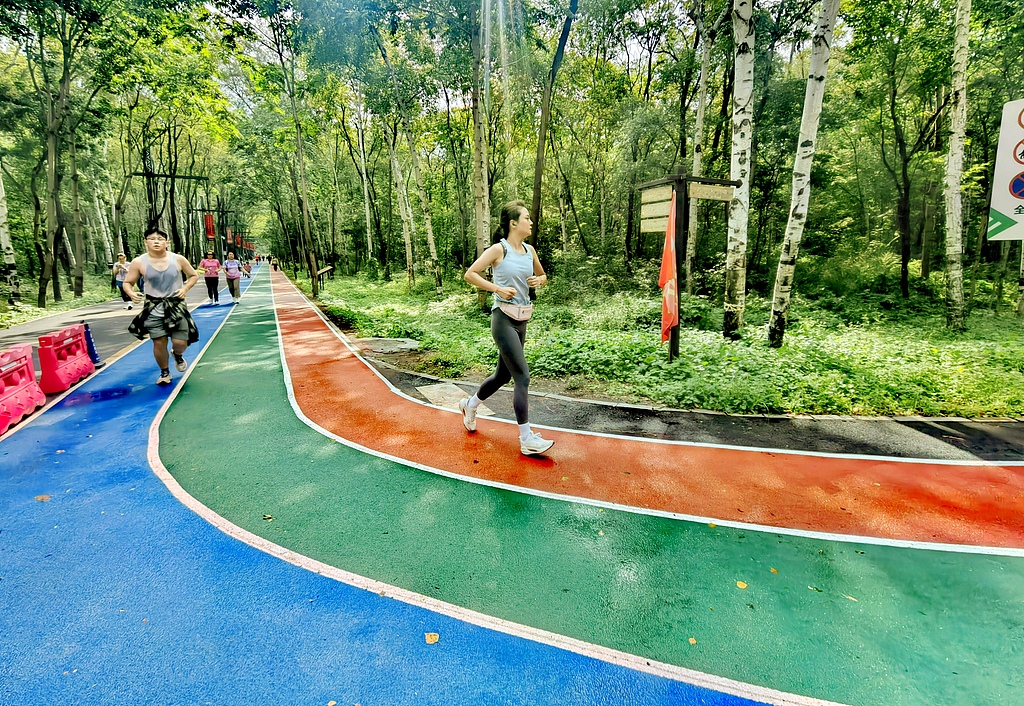 黑龙江哈尔滨：市民体验森林生态跑道