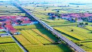 山西襄汾：高铁飞驰田野间