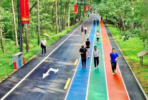 黑龙江哈尔滨：市民体验森林生态跑道
