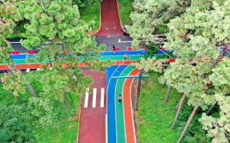 黑龙江哈尔滨：市民体验森林生态跑道