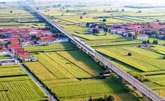 山西襄汾：高铁飞驰田野间