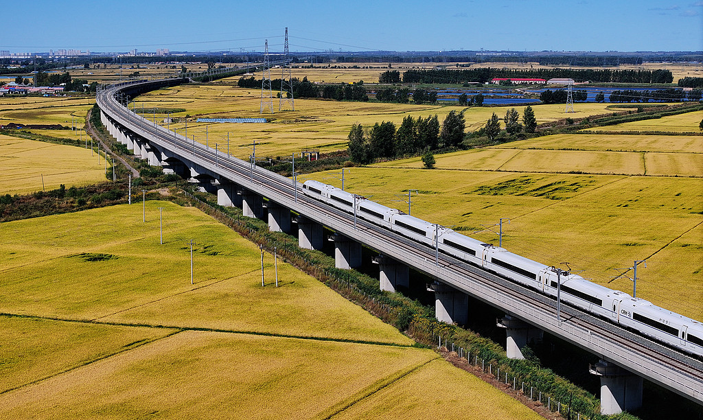 黑龙江哈尔滨：列车穿过金色的田野
