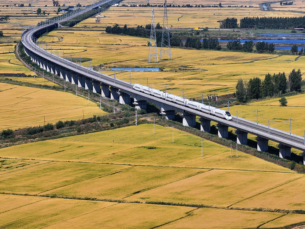 黑龙江哈尔滨：列车穿过金色的田野