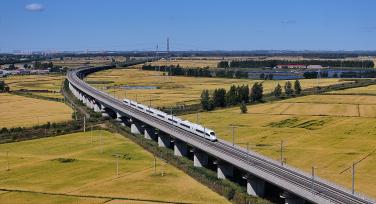 黑龙江哈尔滨：列车穿过金色的田野