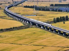 黑龙江哈尔滨：列车穿过金色的田野