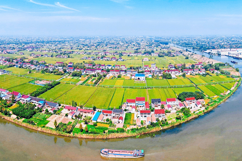 江苏如皋：金秋田园稻香两岸