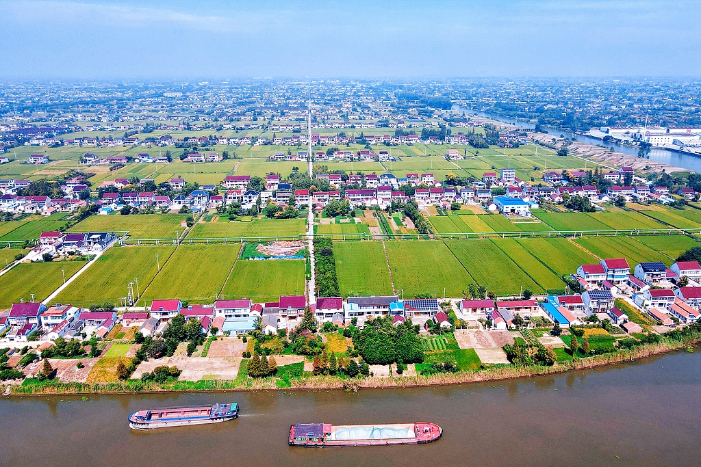 江苏如皋：金秋田园稻香两岸