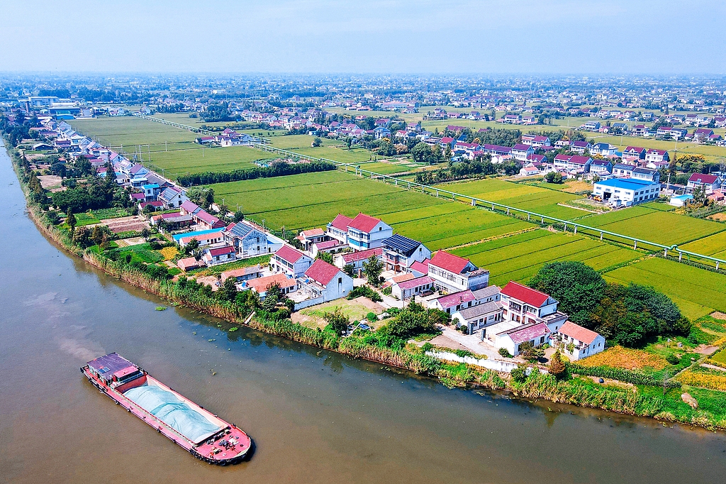 江苏如皋：金秋田园稻香两岸