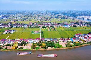 江苏如皋：金秋田园稻香两岸