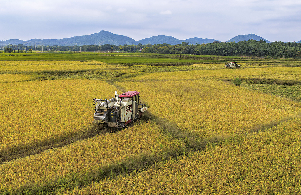 安徽芜湖：农机穿梭于金色稻海开镰收割