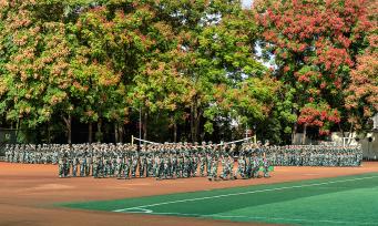 湖北恩施：栾树花开正艳 新生军训正酣