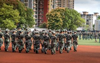 湖北恩施：栾树花开正艳 新生军训正酣