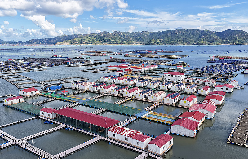 福建霞浦：“海上社区”民居排列有序