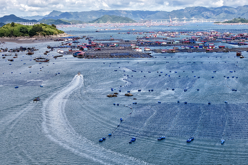 福建霞浦：“海上社区”民居排列有序