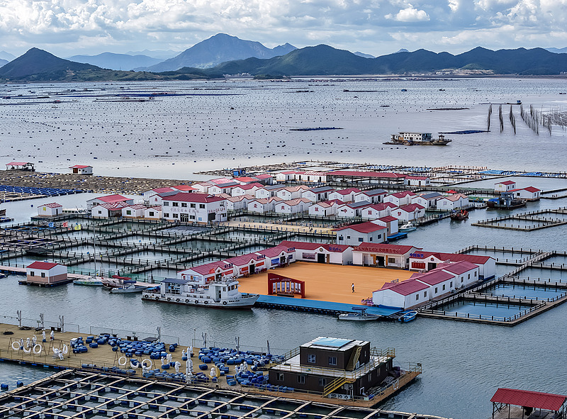 福建霞浦：“海上社区”民居排列有序
