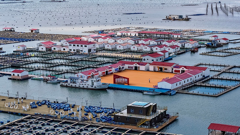 福建霞浦：“海上社区”民居排列有序