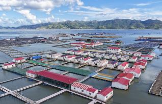 福建霞浦：“海上社区”民居排列有序