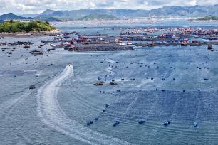 福建霞浦：“海上社区”民居排列有序