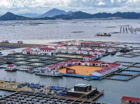 福建霞浦：“海上社区”民居排列有序