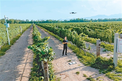 塞上乡村玩转“数字魔法”（“融”观中国）