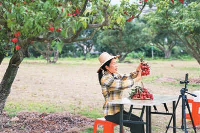 数字红利“润泽”岭南大地（“融”观中国）