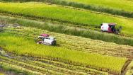 重庆：村民驾驶收割机收获水稻