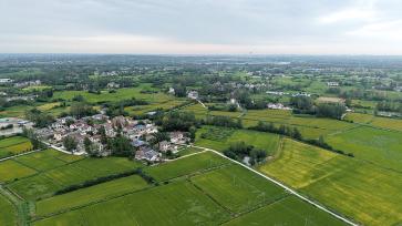 江苏扬州：“稻田画”进入最佳观赏期