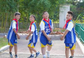 浙江长兴：小学生劳动基地采收红薯