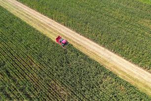 河北邯郸：农民驾驶农机收割玉米