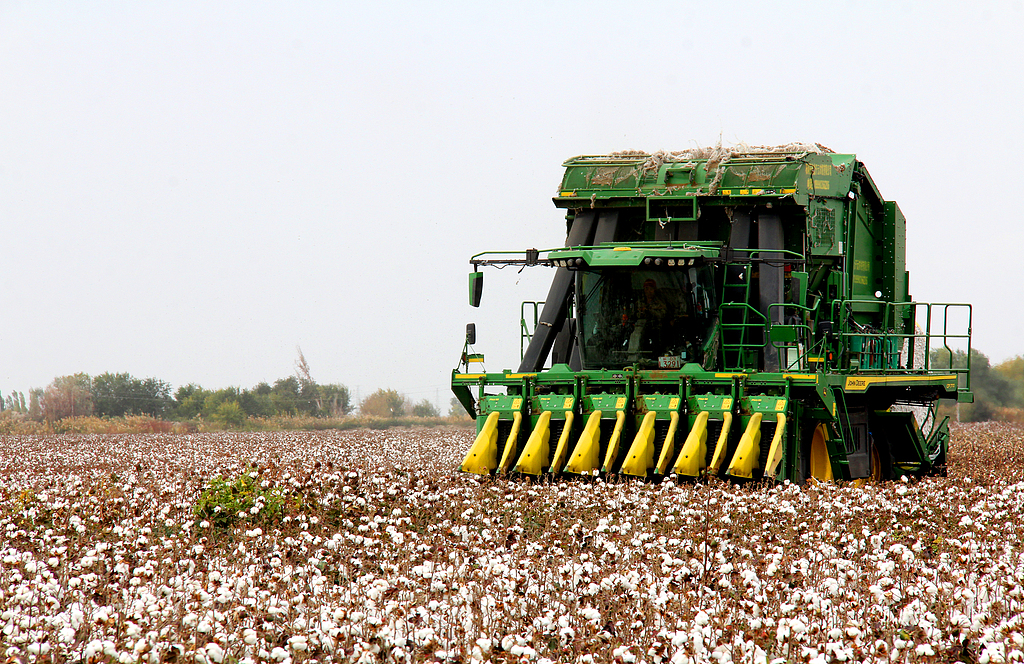 新疆沙湾：采棉机在棉田里作业