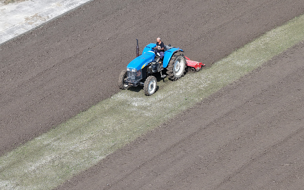 江苏扬州：农民抢抓农时开展秋收活动