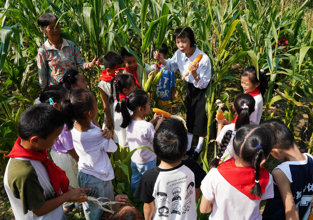 广西融水：学习粮食知识 迎“世界粮食日”