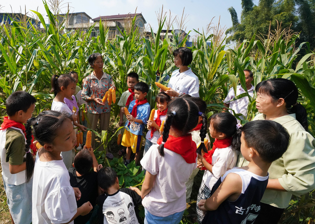广西融水：学习粮食知识 迎“世界粮食日”