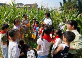 广西融水：学习粮食知识 迎“世界粮食日”