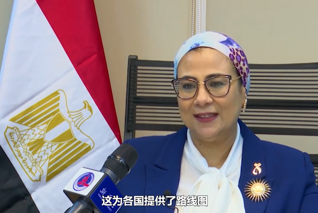 埃及国家妇女委员会主席：“中国方案”助力全球妇女事业应对挑战
