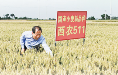 这个西北小城何以走出28位院士（科技视点）