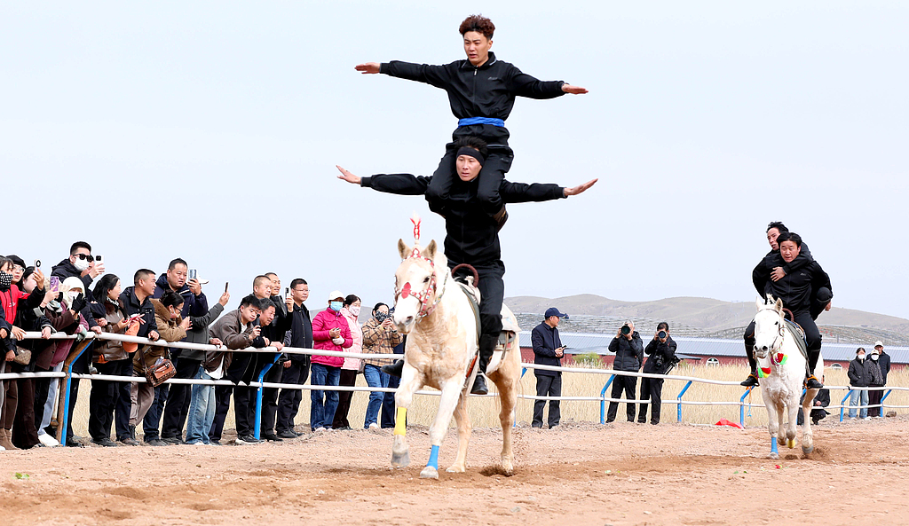 甘肃张掖：祁连山下骏马驰骋吸引游客
