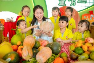 浙江湖州：小朋友学习辨认粮食作物