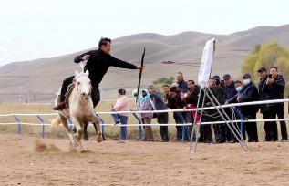 甘肃张掖：祁连山下骏马驰骋吸引游客