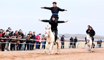 甘肃张掖：祁连山下骏马驰骋吸引游客